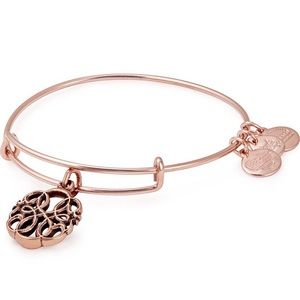 Alex and Ani Charm Bangle